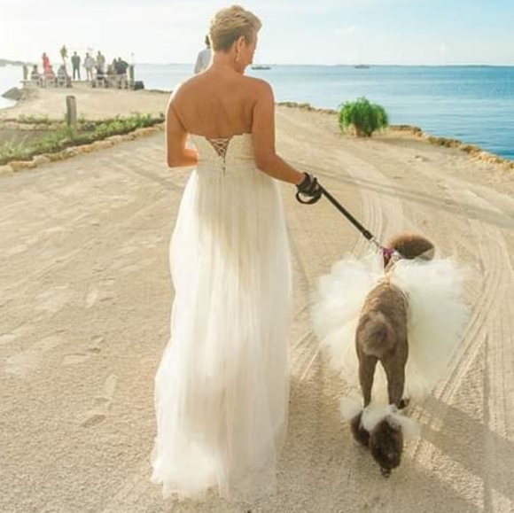 Wedding Dress - Picture 4 of 5